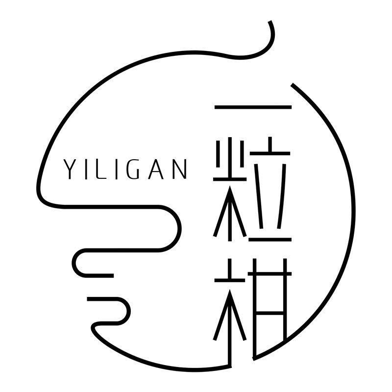 一粒柑新会陈皮