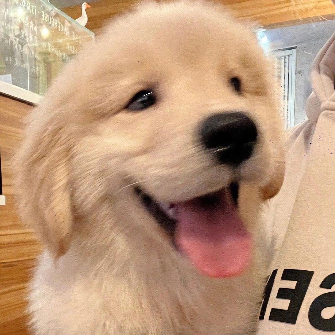 ·    小白   ·