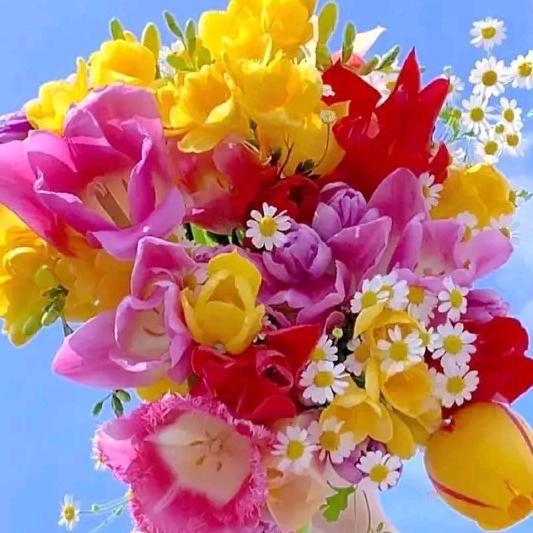 🍒开心就好🌹