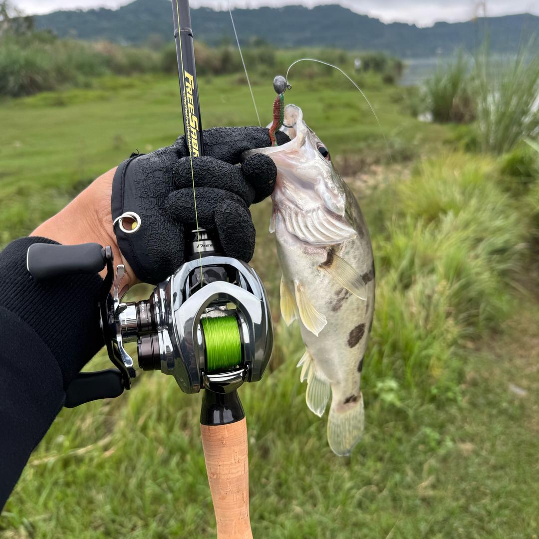 热爱🎣可抵岁月漫长