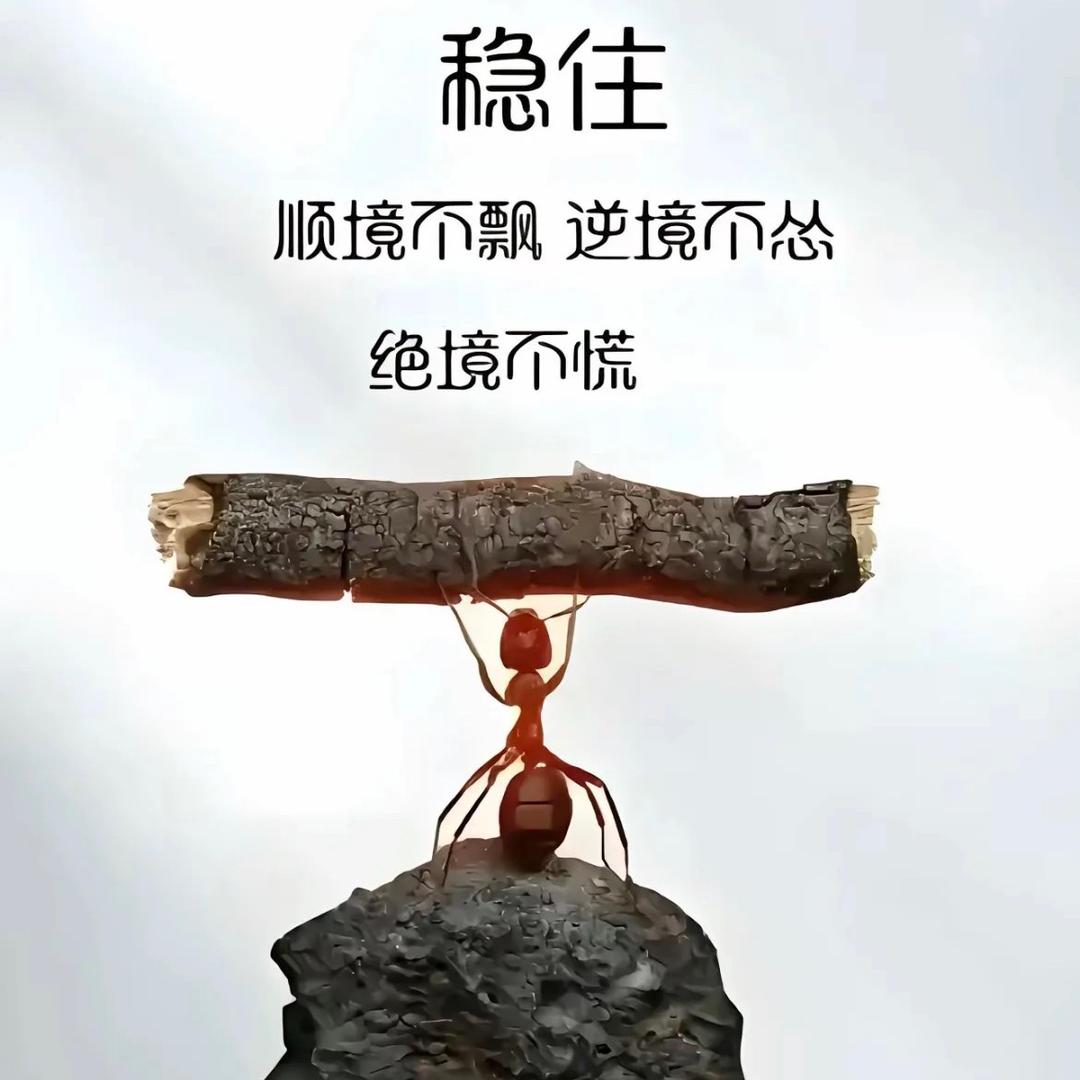 逆困途·揽宸🌪️