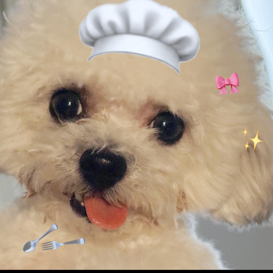 饼饼不好吃🥴