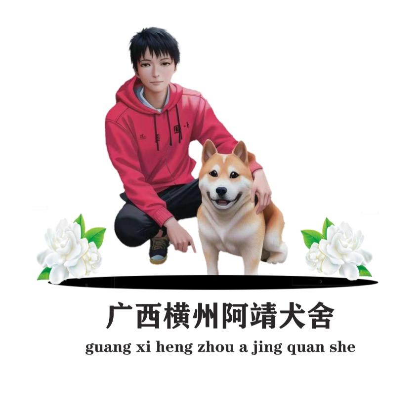 阿靖寻找土猎犬