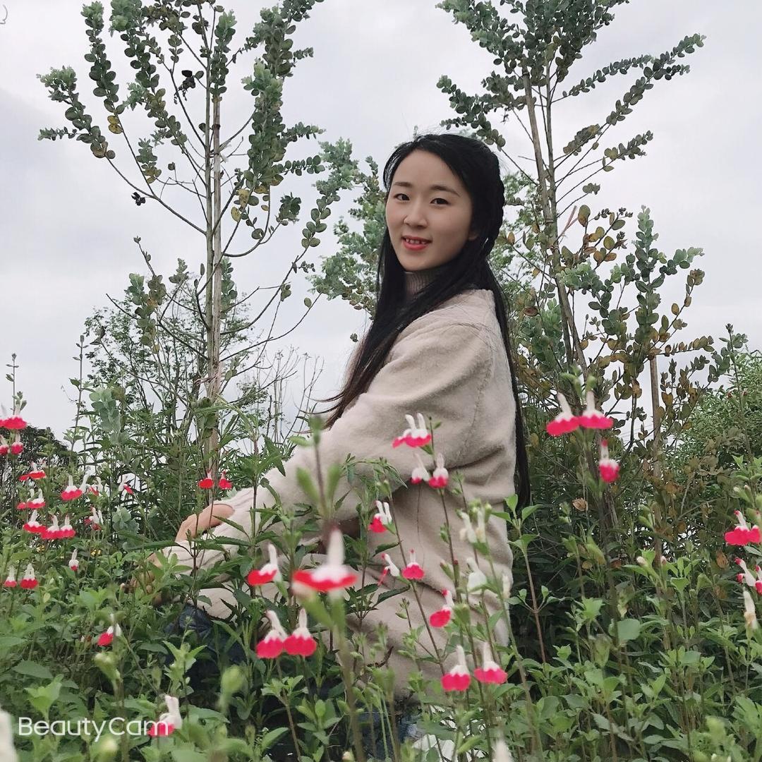 小萍萍🌸