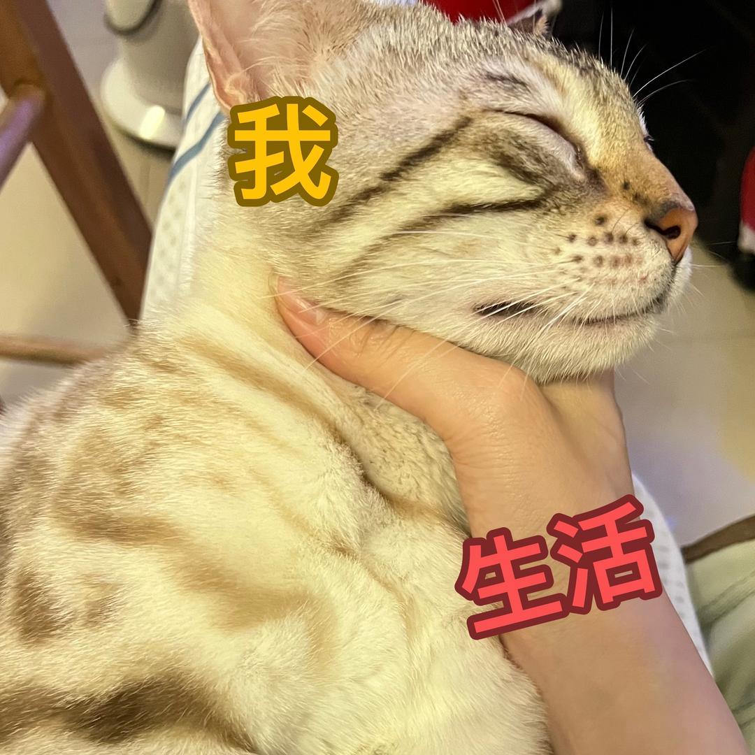 🐈海参🐆3万儿
