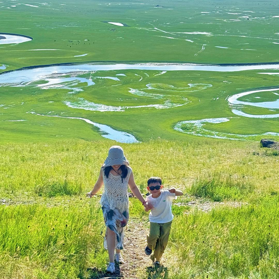 潦草小狗乖乖乖