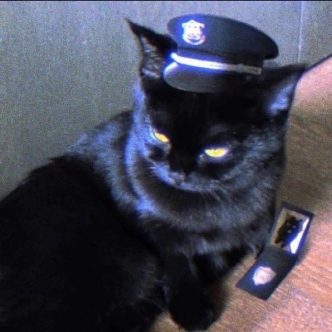 黑猫警长