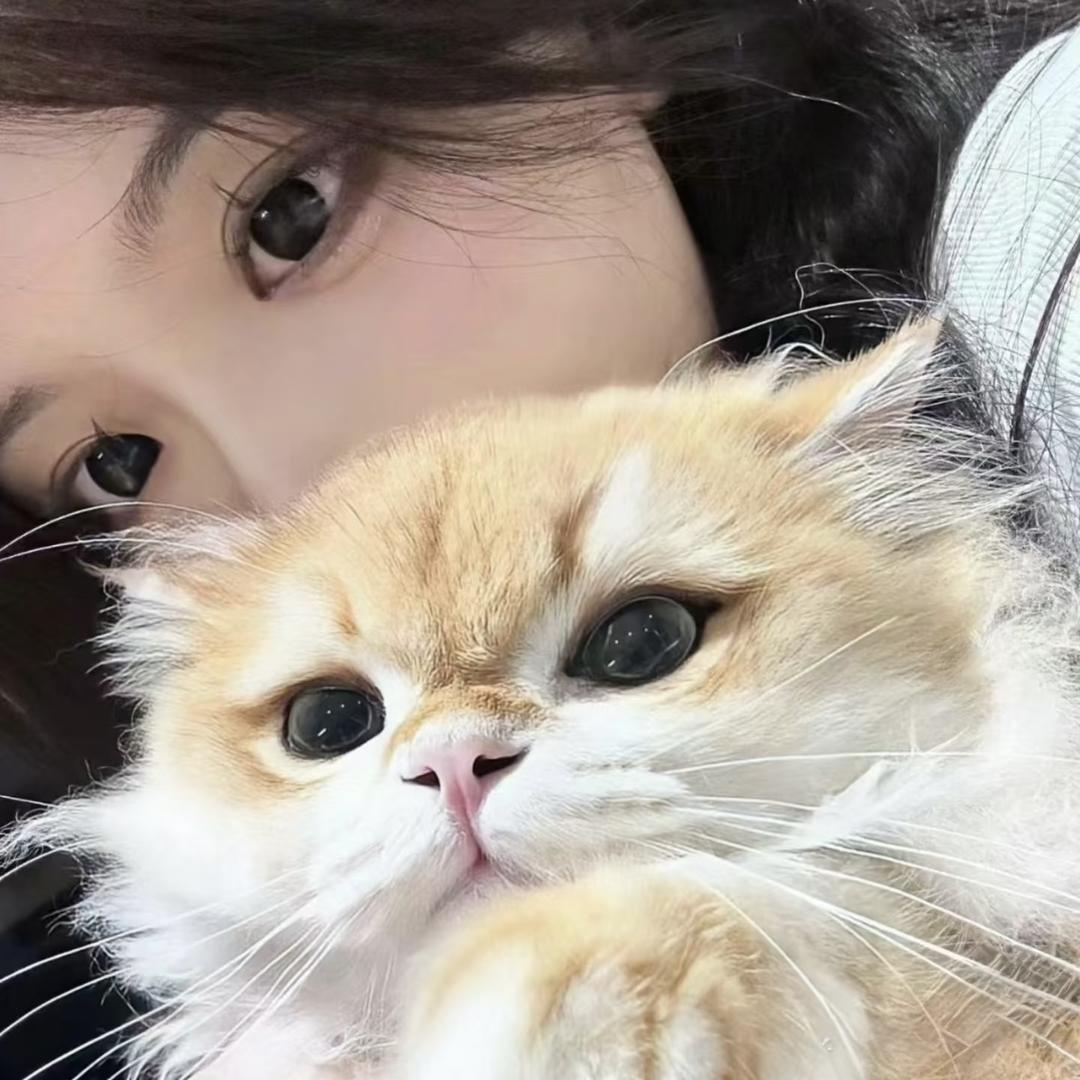 气球🧩