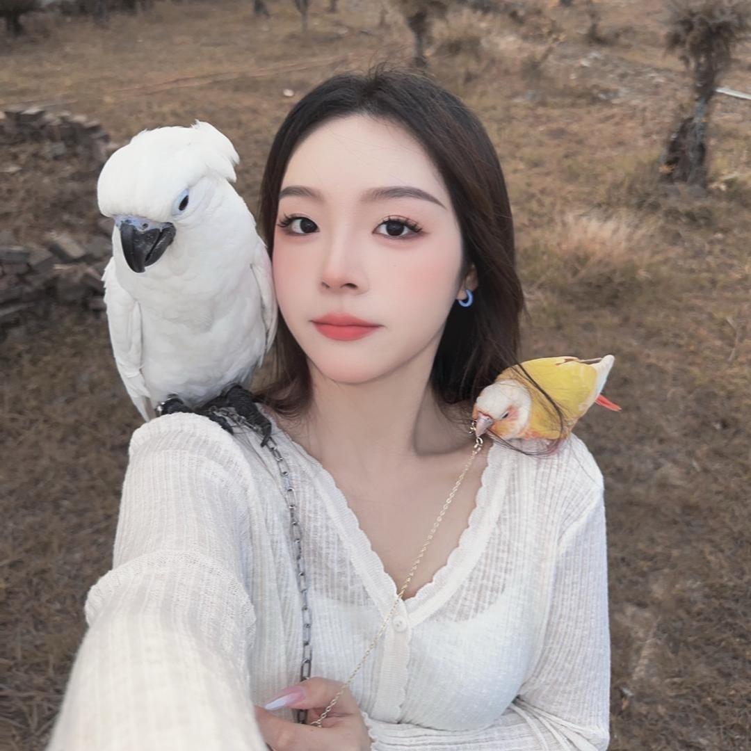 鹦鹉驿站🦜