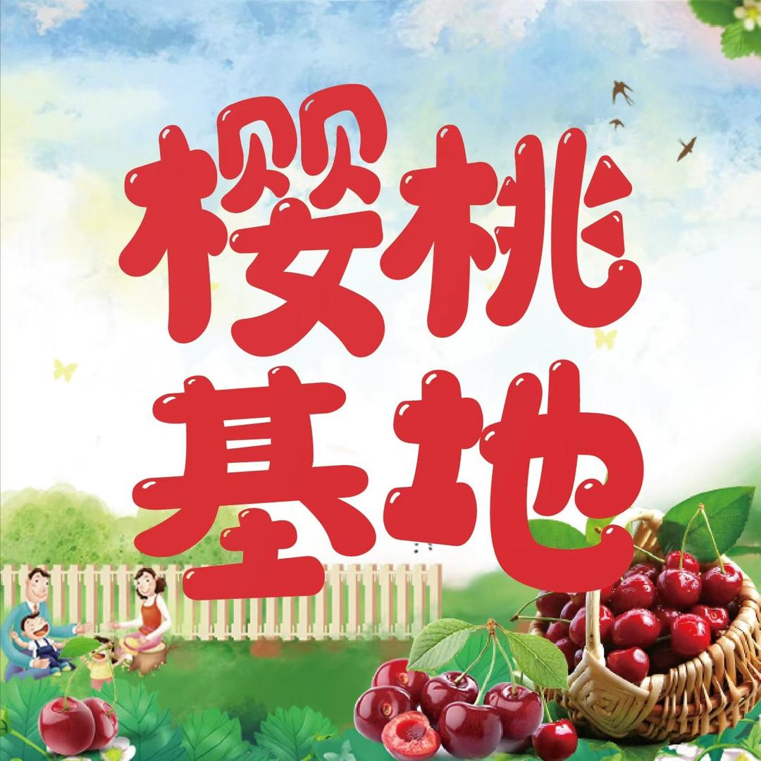 柴瑞新鲜水果