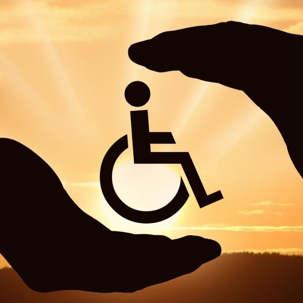 圆残疾人驾车梦