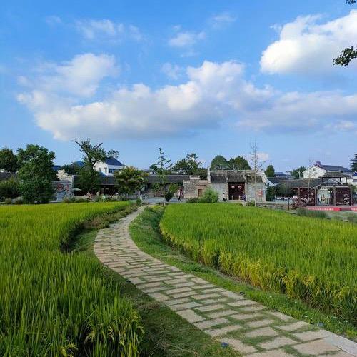 小军大叔的园子