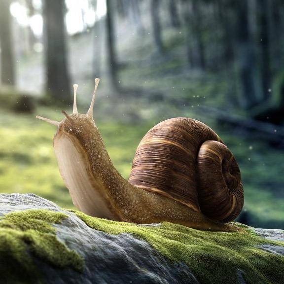 🐌🍃🍃🍃♠️