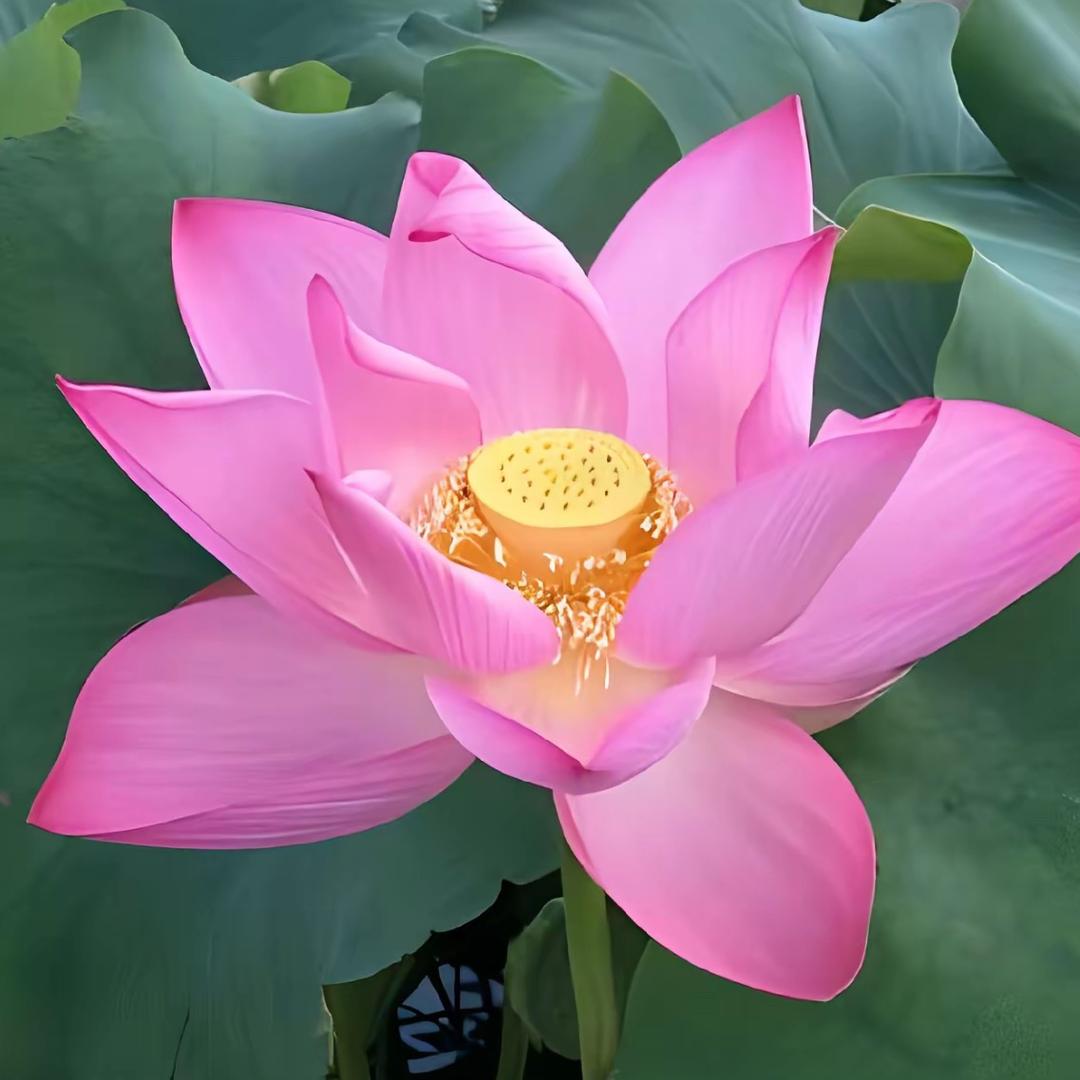 云瑞边贸