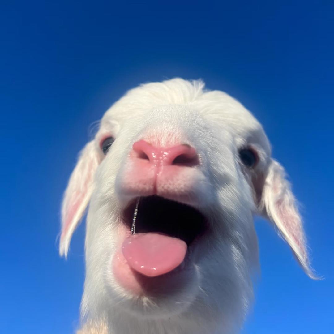 冯千万💙白羊座♈️