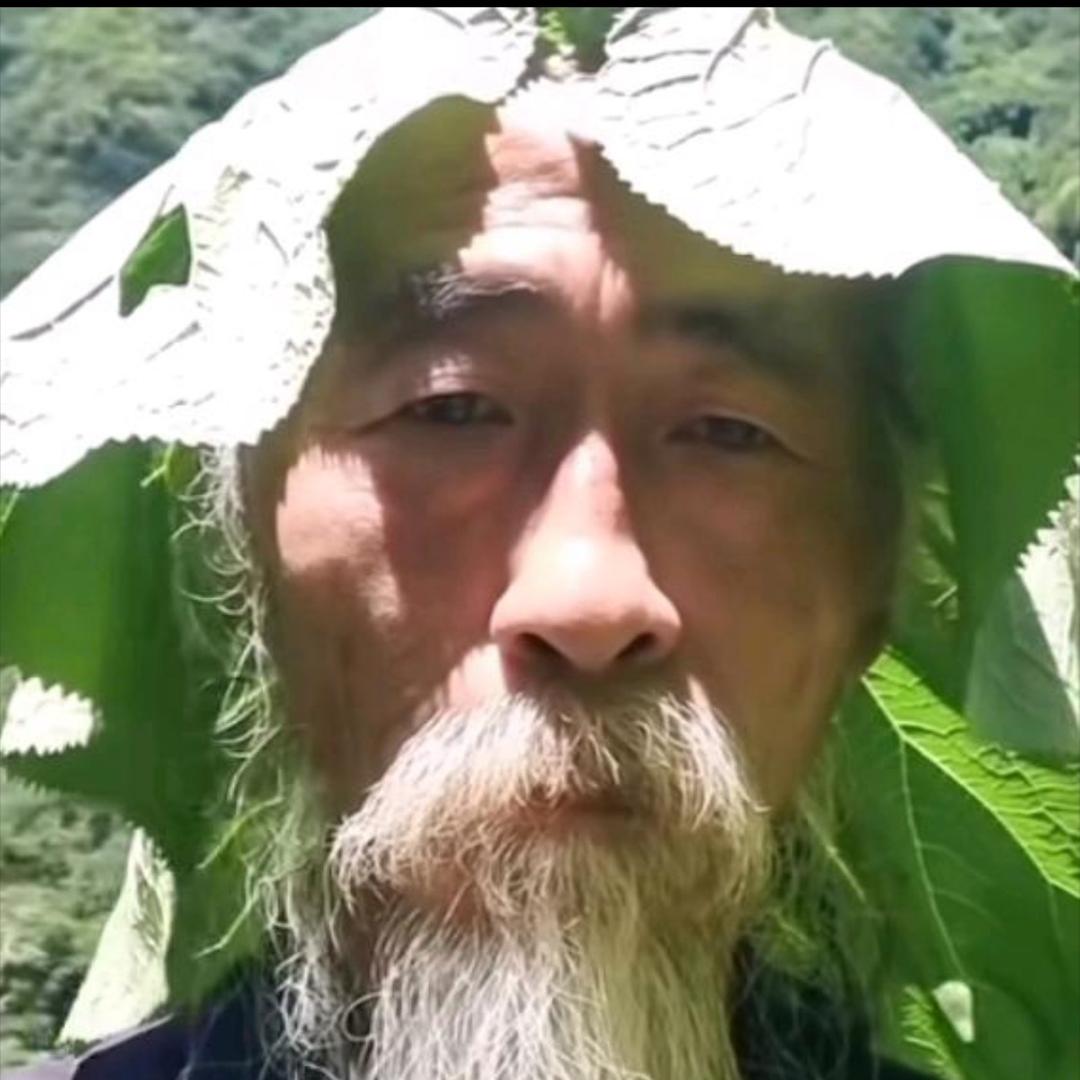 毛毛毛儿