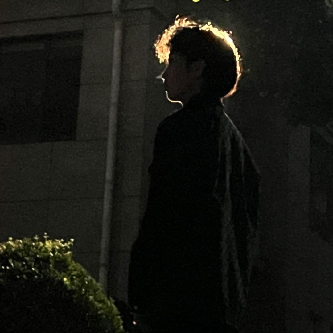 叶家掌舵人高政头像