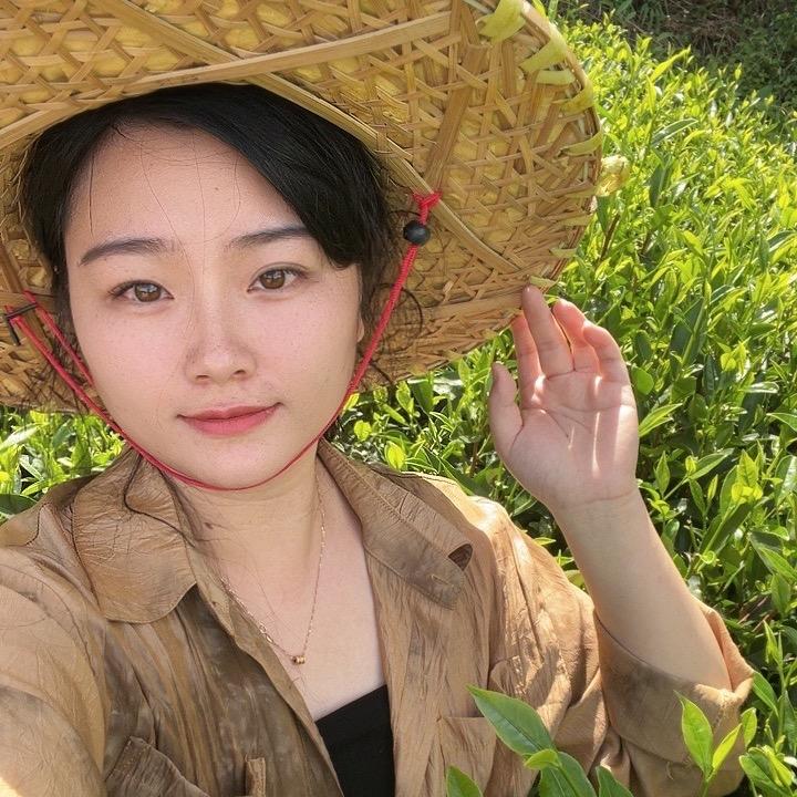 悟空单丛茶业