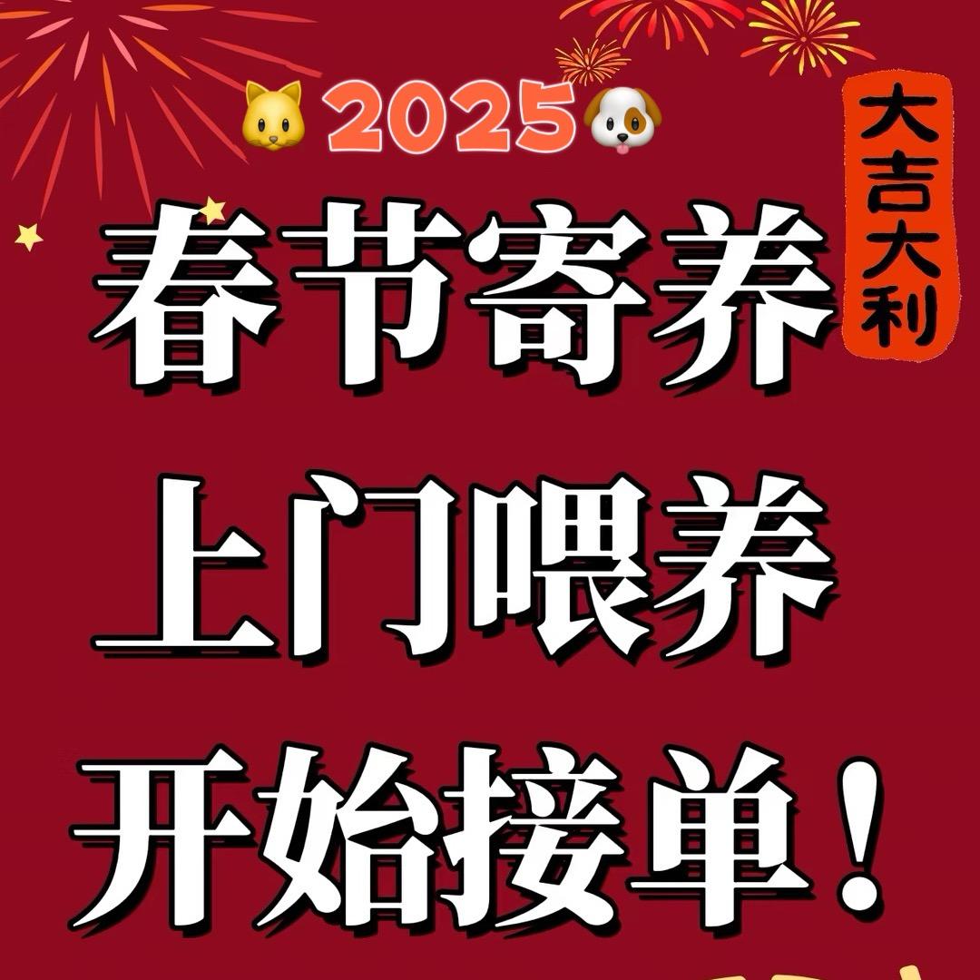 小小铲屎官