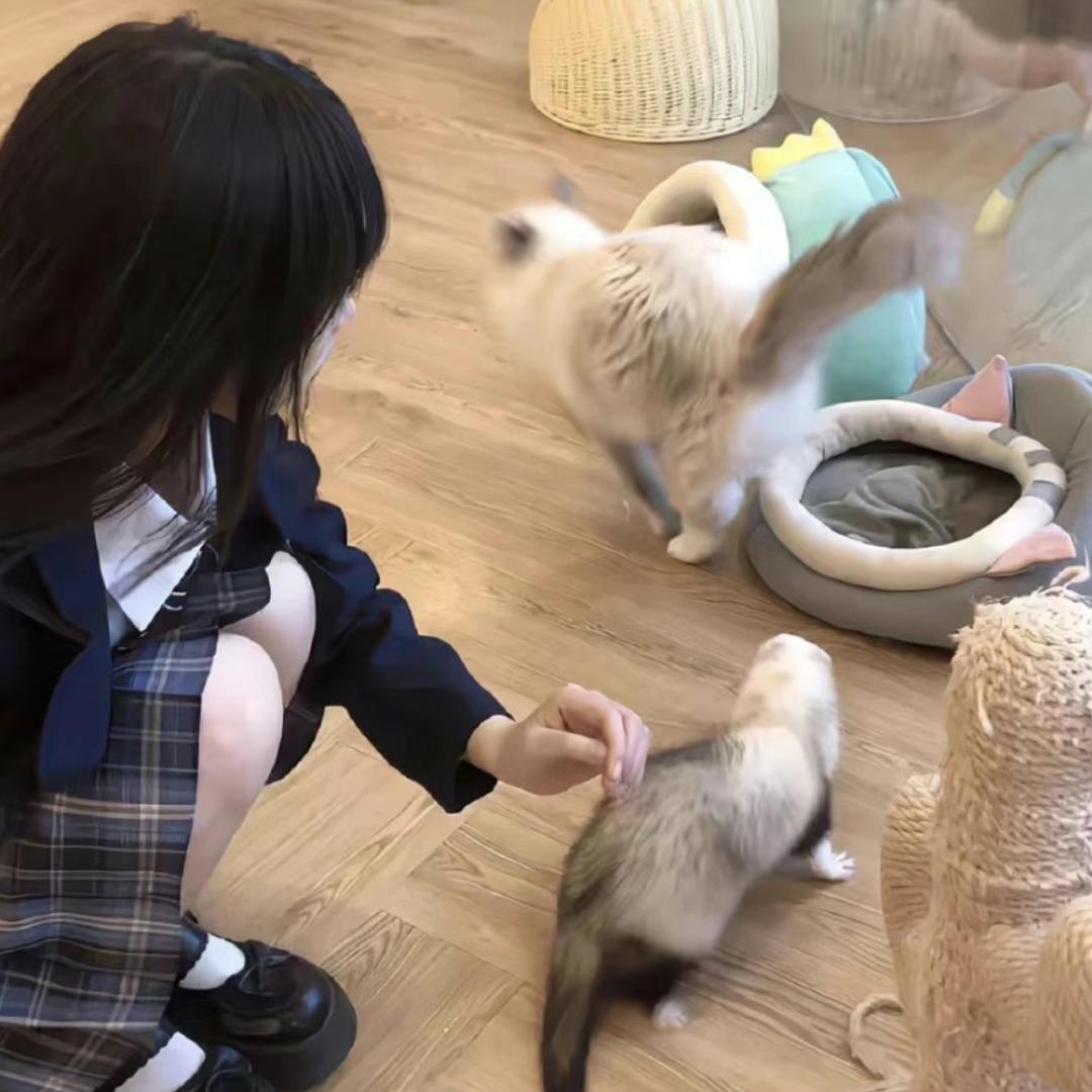 春天