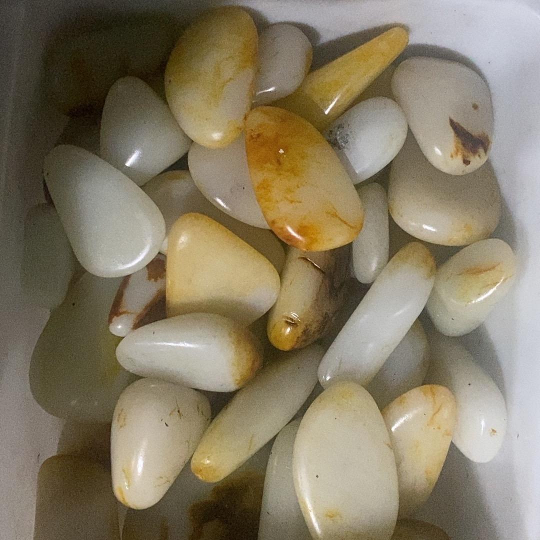 渤涛籽玉
