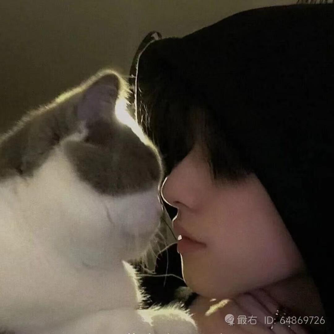 何谓