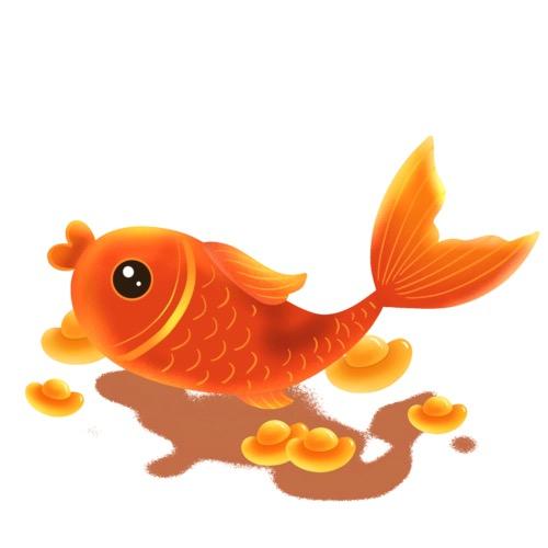 股民小鲤鱼