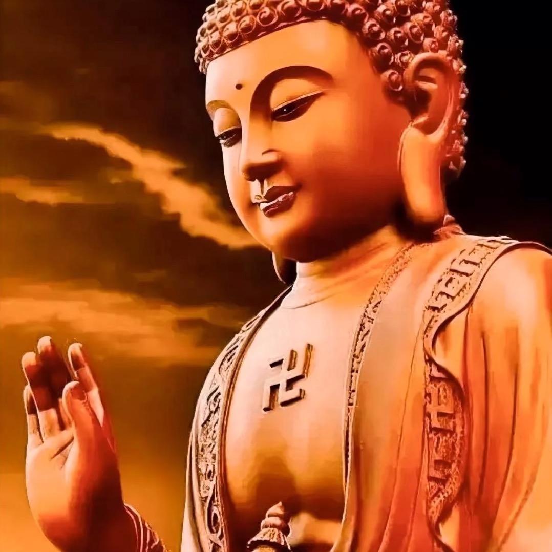 明❤️见性