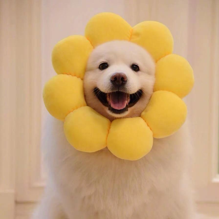 能讲情话给我听吗