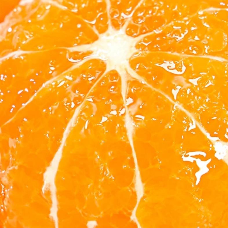 菲凡阁水果旗舰店