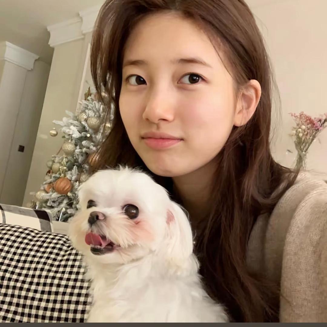 不吃豆子的🧊🧊