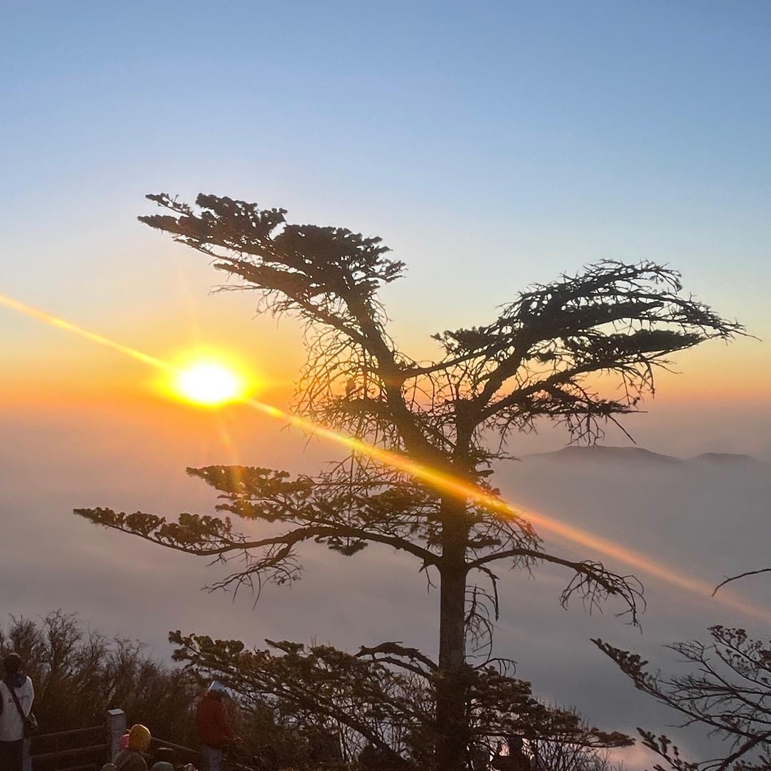 佛光初现