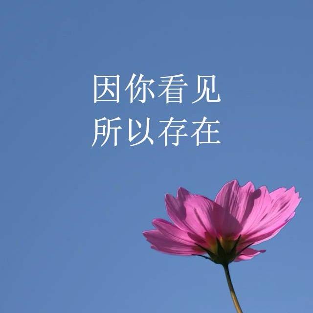 朝花夕拾