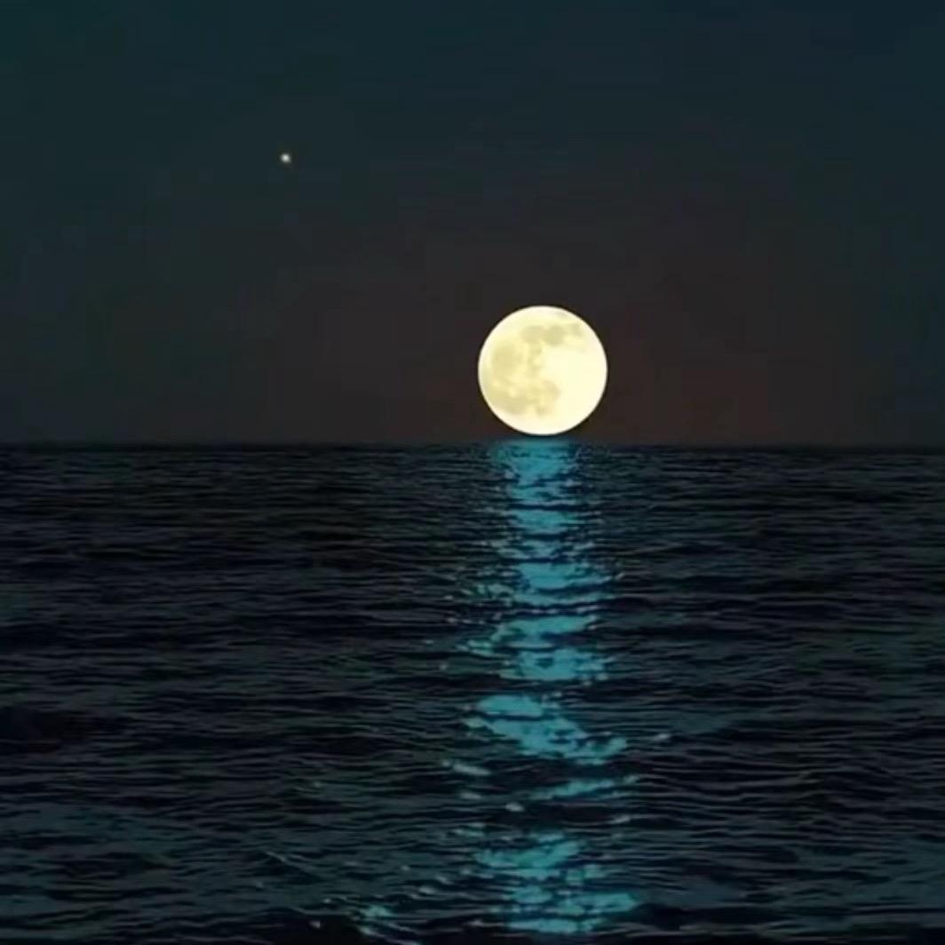 多米🌙
