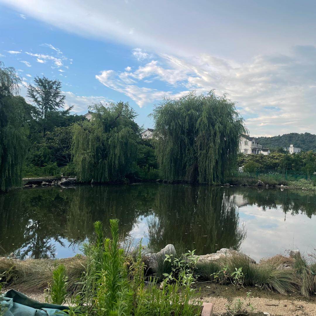 苏州斌斌果园养殖