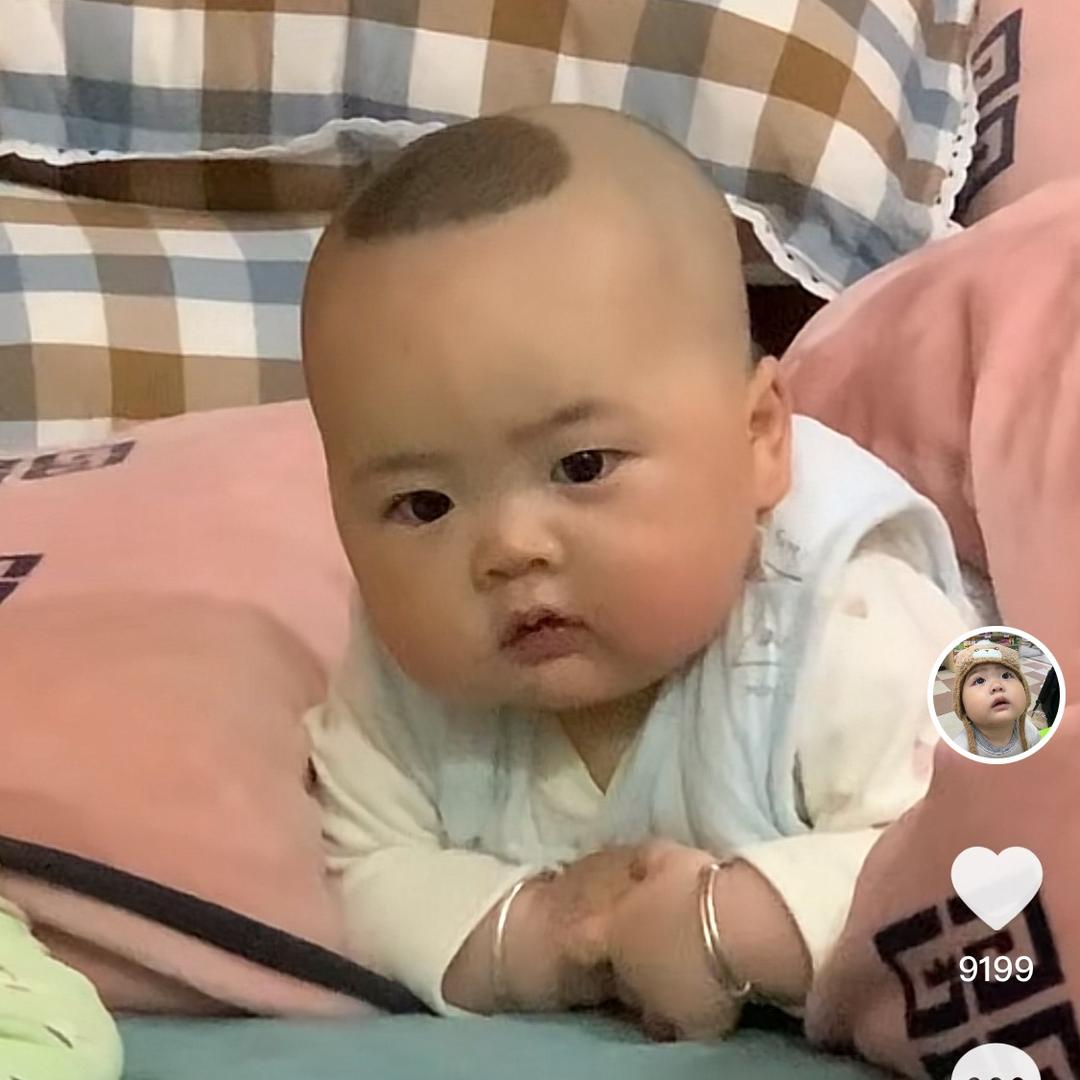 没房子的寄居蟹