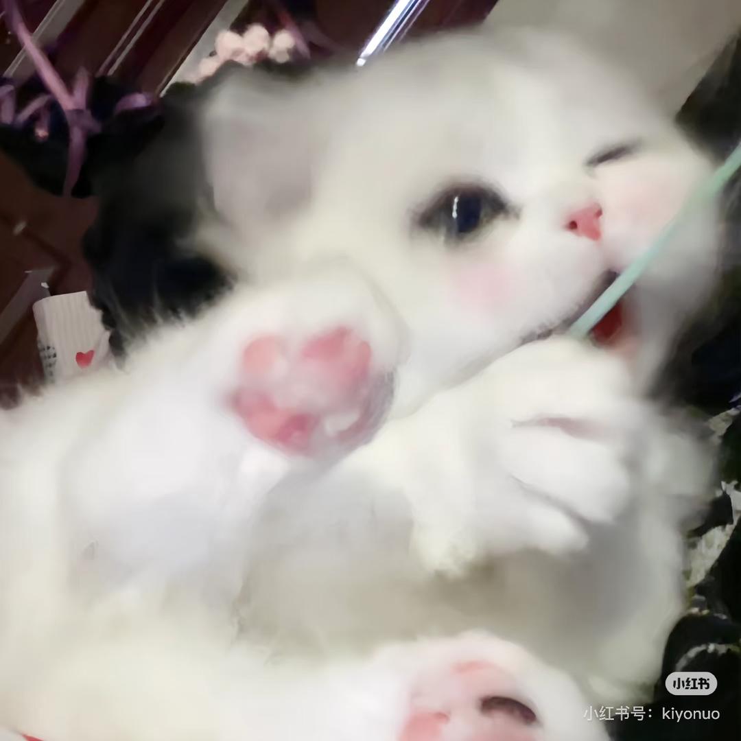 蜜桃兔墩墩