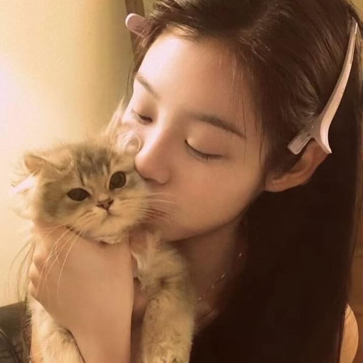 没有烦心柿七七ིྀ(