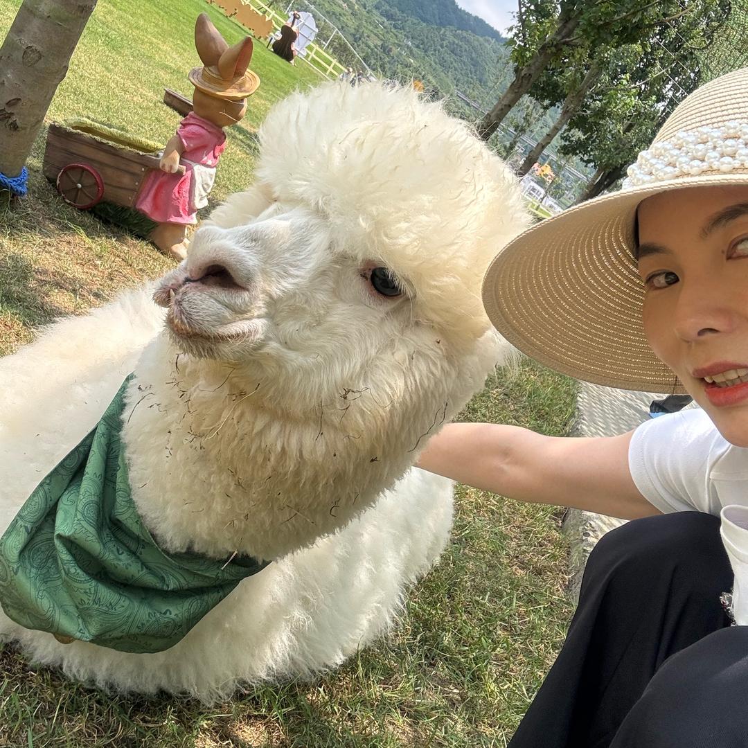 左左左