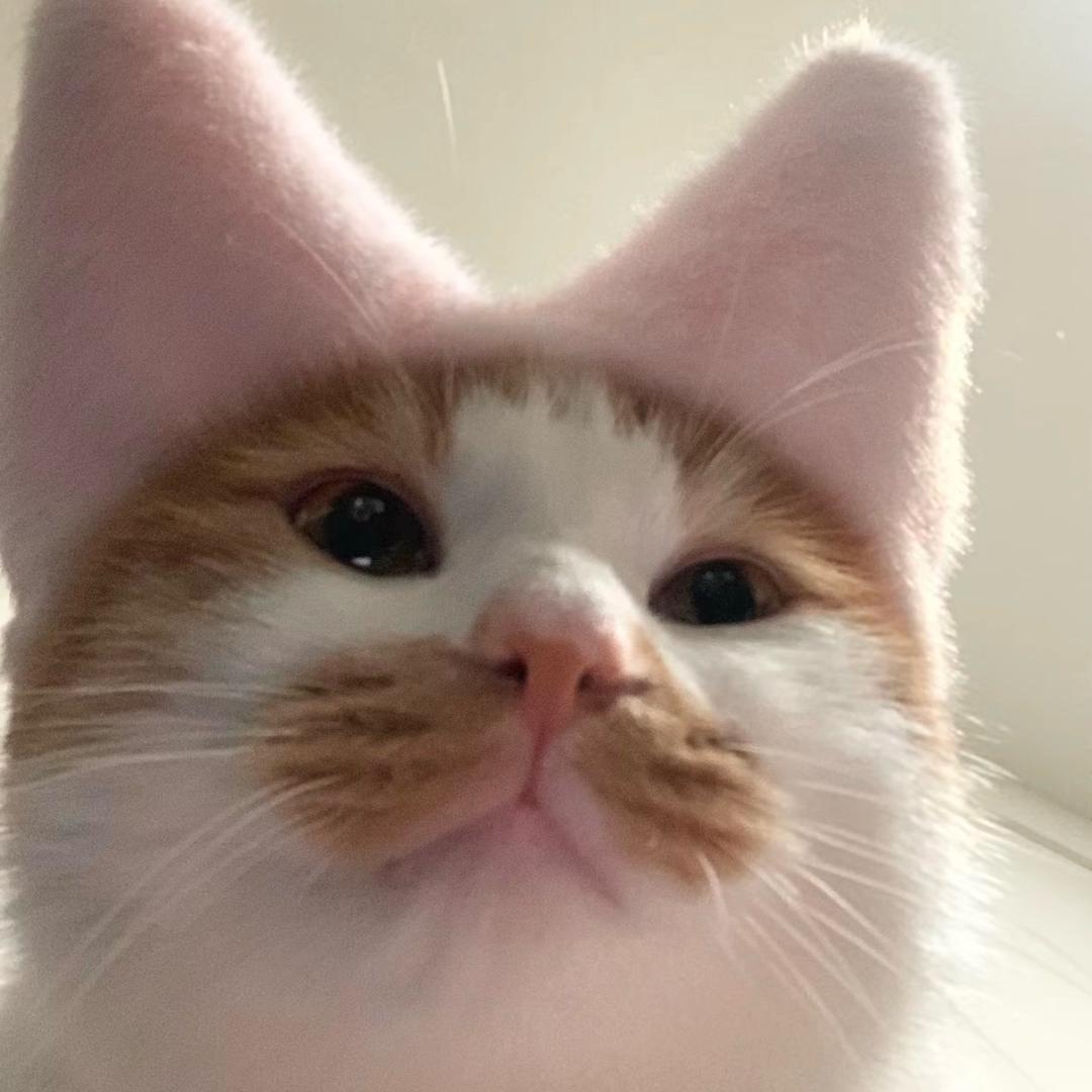 忧郁小薯片^