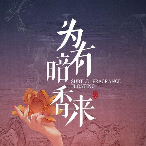 网剧为有暗香来