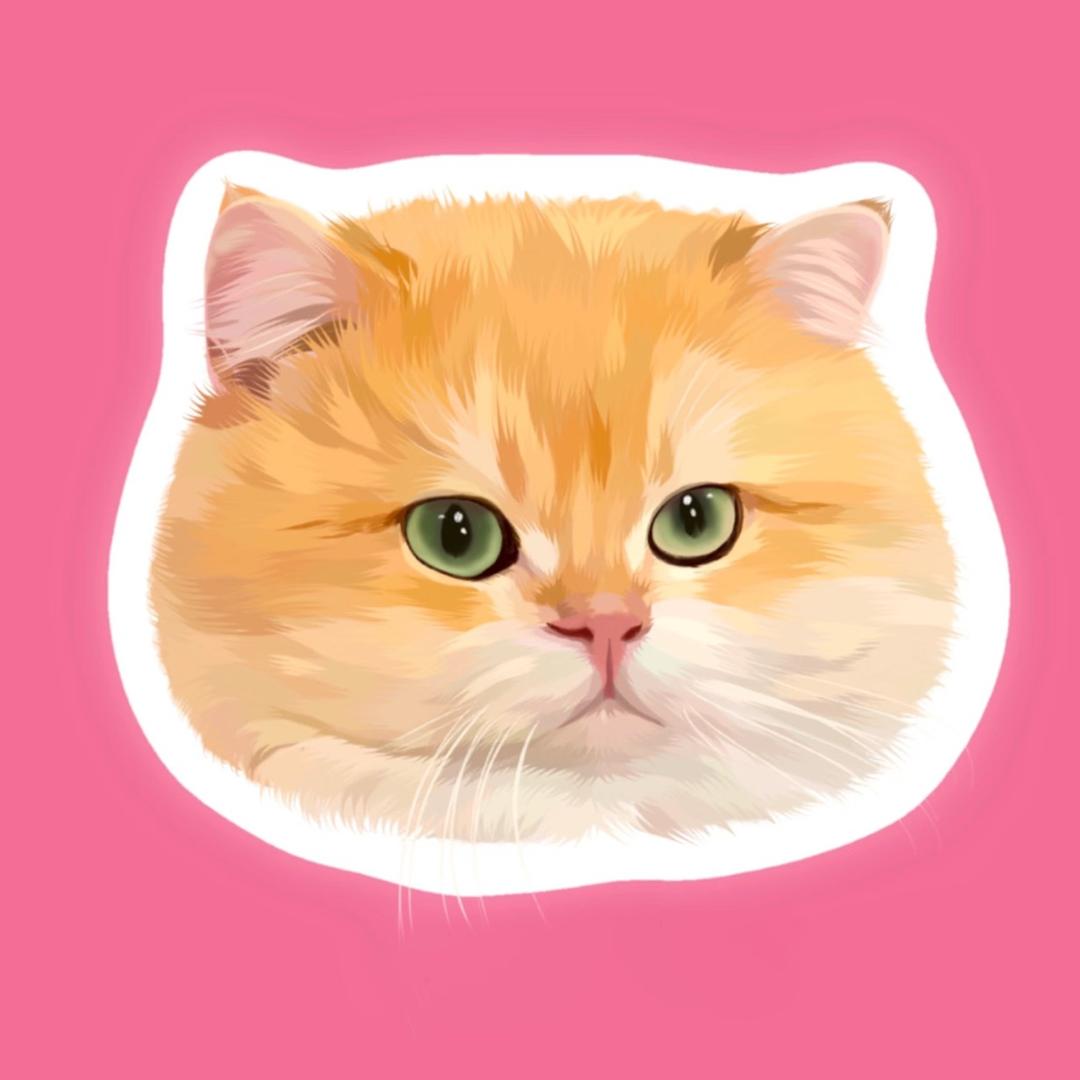 一家金渐层猫舍