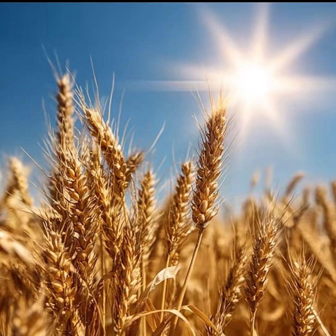 ༄࿆Serendipity࿐ᩚ