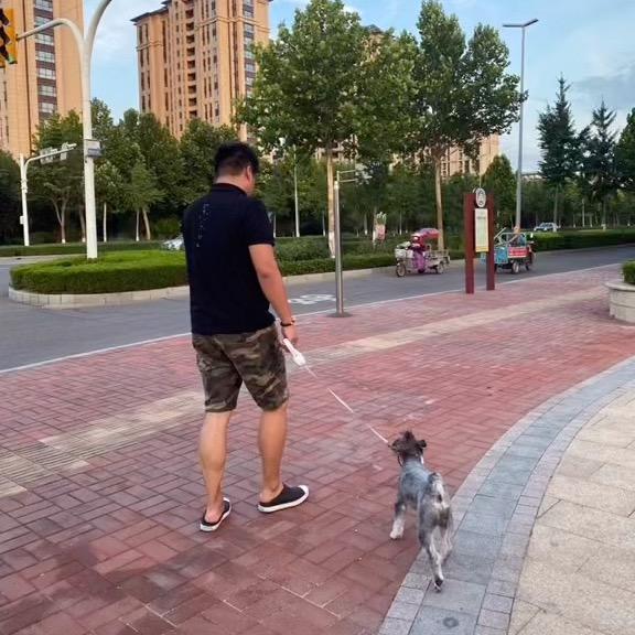 迷路的大宸