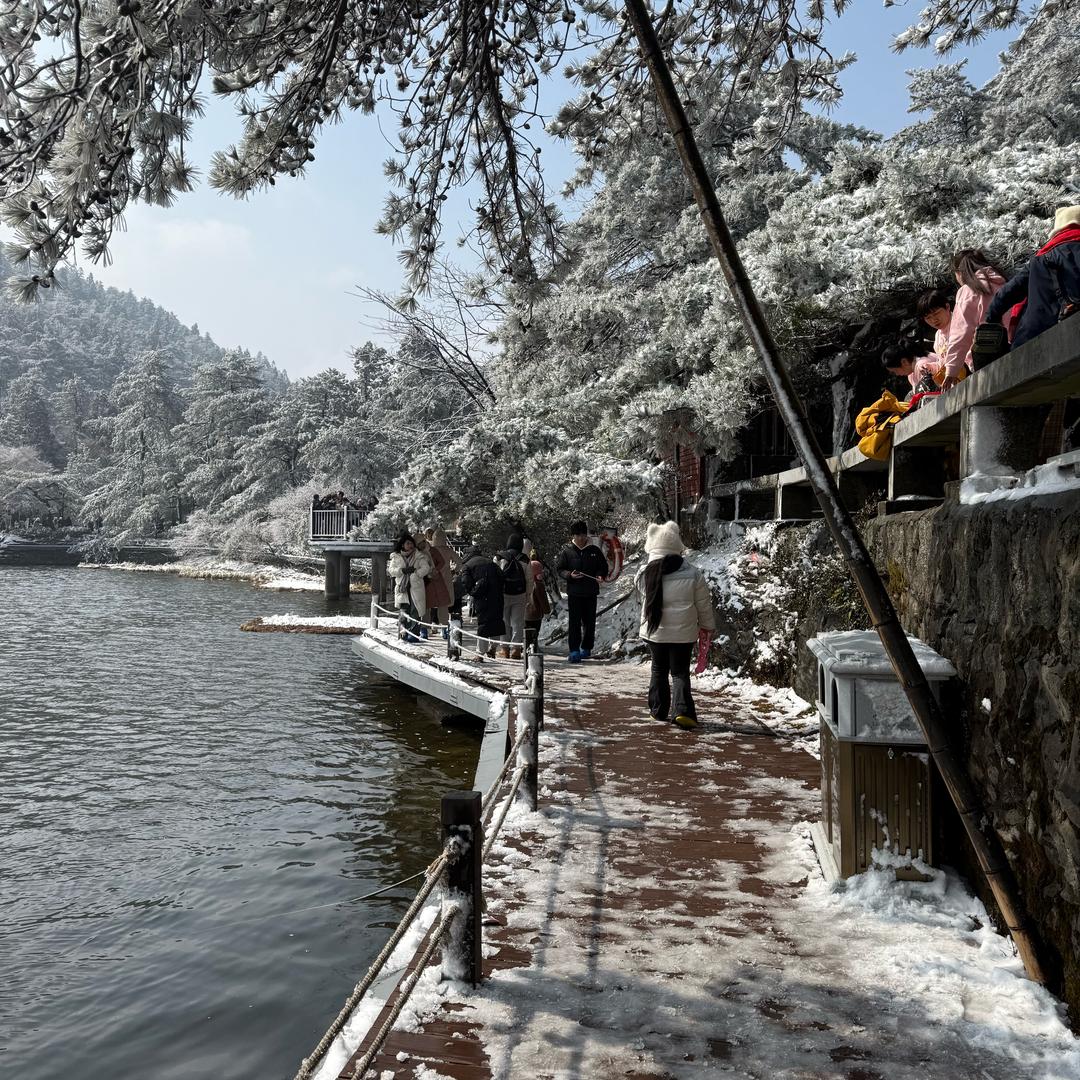 🍷王者归来🍷