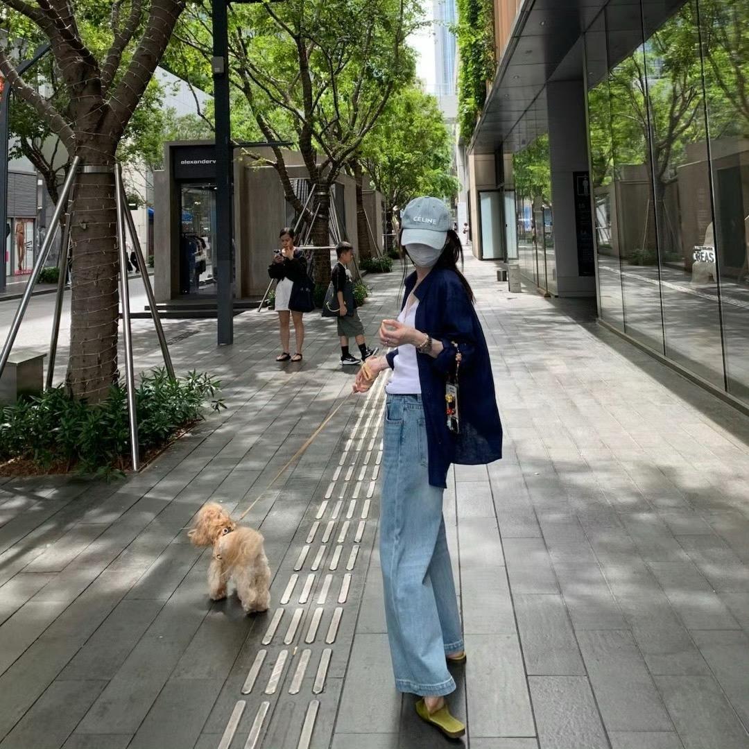 不见海棠开