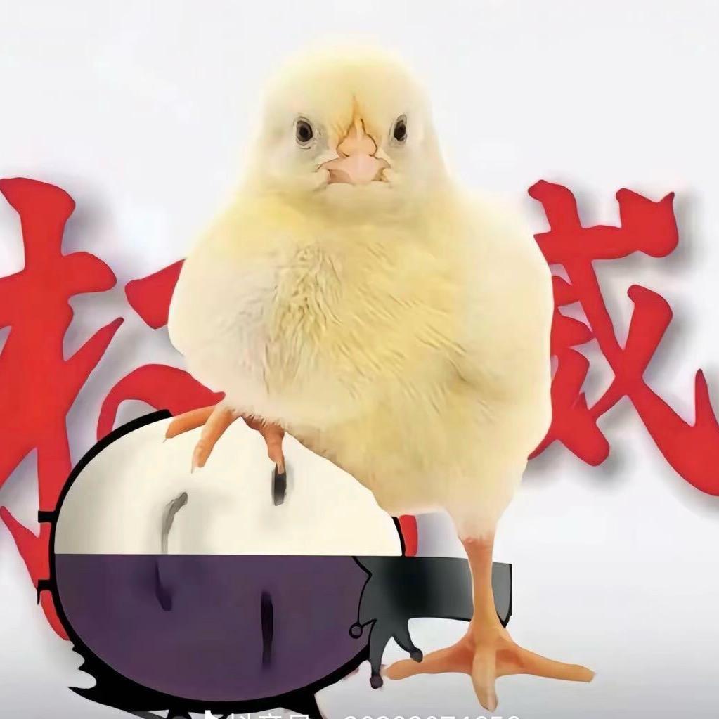 韩小🐑🐑🐑🐑🐑🐑🐑🐑