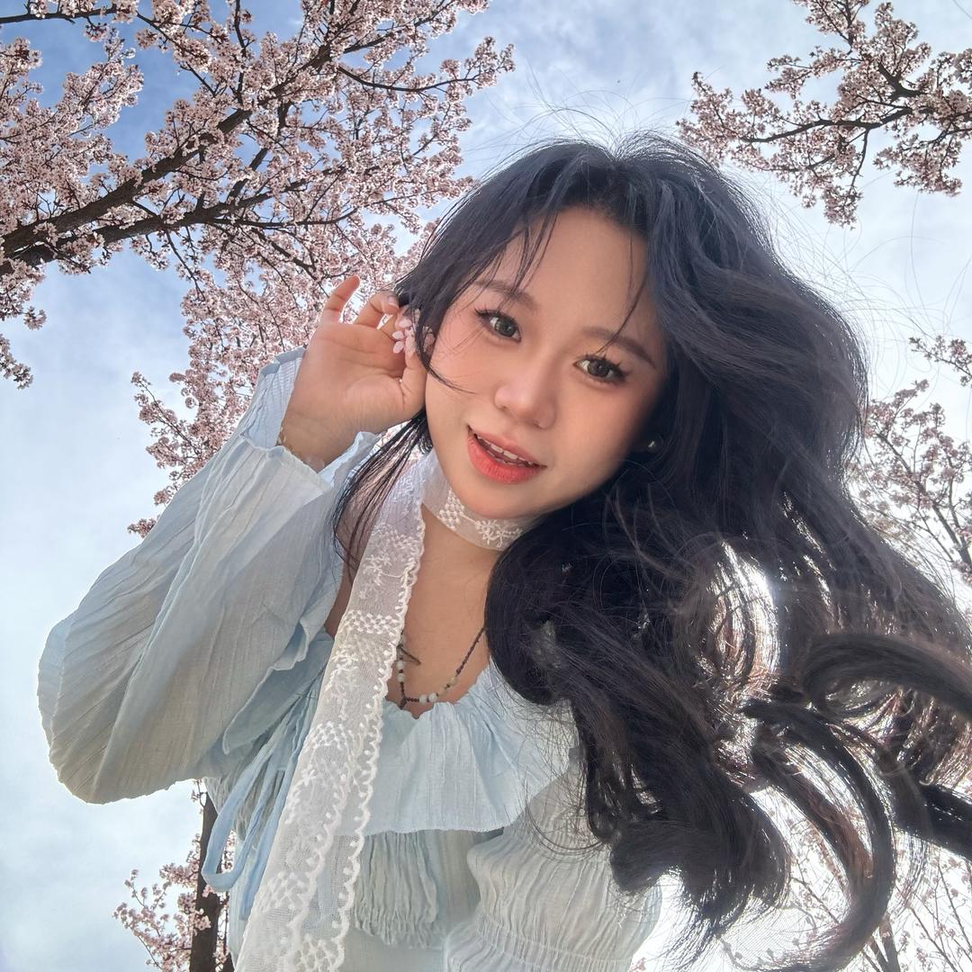 是车车呀🍒