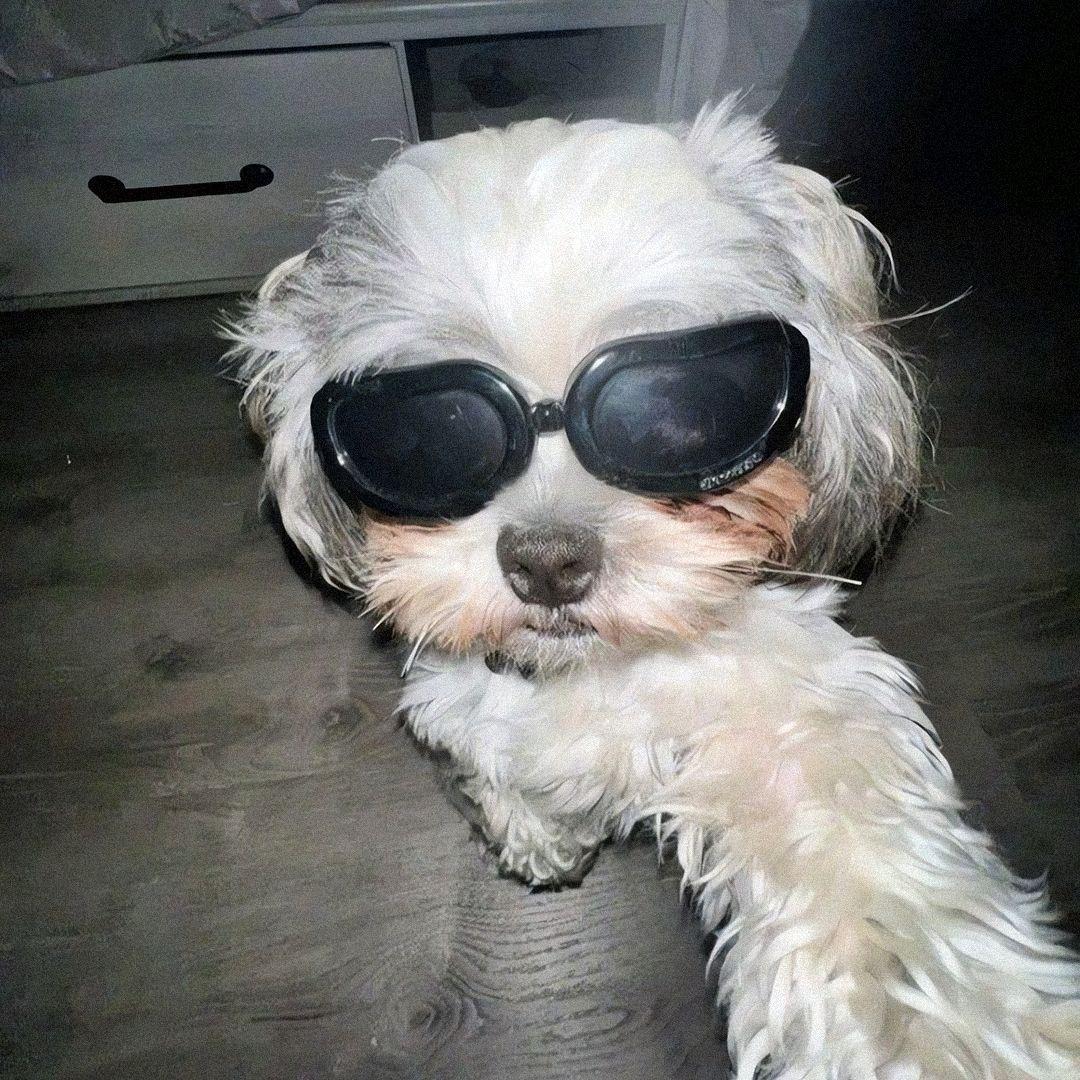 想一拳把世界打成一个大蛋挞