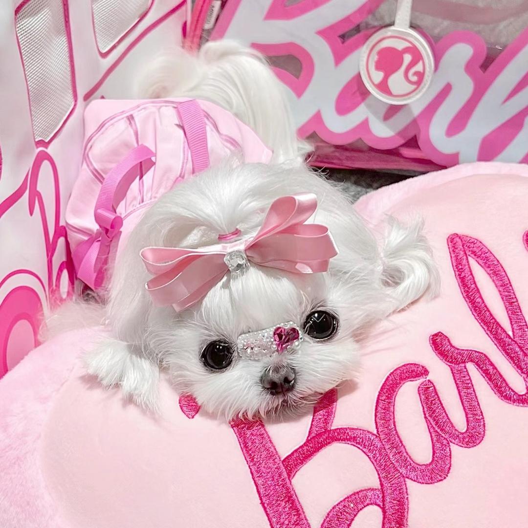 ʚ心心ɞ